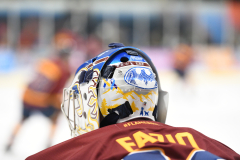 vs Sheffield Steelers 13/09/26